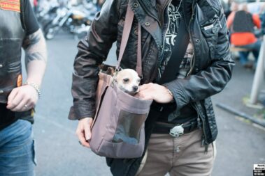 Pressefotograf und Fotojournalist Patrik Walczak aus Dortmund, Hund in der Tasche.