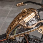 Bandidos MC Bikes, zu Gast in Belgien 2 Pressefotograf Dortmund, Harley Davidson Softail Night Train 2008, Customizing beim Bandidos MC